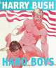 Hard Boys, Harry Bush 