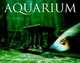 Aquarium, 