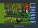 Luminair: Techinques of Digital Painting from Life, Nick Pugh 