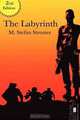 The Labyrinth, M. Stefan Strozier 
