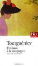 Un mois a la campagne, Иван Тургенев 