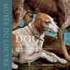 Dogs in the Louvre, Francois Nourissier, Elisabeth Foucart-Walter 