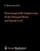 Neurosurgical Re-engineering of the Damaged Brain and Spinal Cord, 