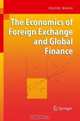 The Economics of Foreign Exchange and Global Finance, Peijie Wang 