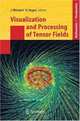 Visualization and Processing of Tensor Fields (Mathematics and Visualization), 
