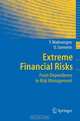 Extreme Financial Risks: From Dependence to Risk Management (Springer Finance S.), Yannick Malevergne, Didier Sornette 