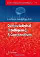 Computational Intelligence: A Compendium (Studies in Computational Intelligence), 