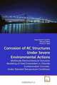Corrosion of RC Structures Under Severe Environmental Actions: Multiscale Electrochemical Corrosion Modeling of Steel Embedded in Chloride Contaminated Concrete Under Elevated Temperature Conditions, Raja Rizwan Hussain, Tetsuya Ishida, Prince O