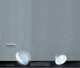 Thomas Demand: Phototrophy, Ralph Rugoff, Julia Franck 