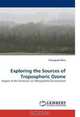 Exploring the Sources of Tropospheric Ozone, Changsub Shim 