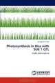 Photosynthesis in Rice with SUB 1 QTL: Under Submergence, Debabrata Panda 