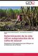 Determinacion de la vida util en subproductos de la cana de azucar: Parametros Fisicoquimicos que Influyen en el Deterioro de la Panela (Spanish Edition), Dayana Rocio Rojas Barquera, Ana Alejandra Salvatierra Rojas 
