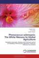 Phenacoccus solenopsis: The White Menace to Global Agriculture: Population dynamics, Biology and Chemical control of mealybug, Phenacoccus solenopsis Tinsley on Hibiscus rosa-sinensis, Swapnil Arve, K. G. Patel, Sachin Chavan 