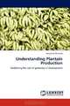Understanding Plantain Production: Redefining the role of 