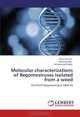 Molecular characterizations of Begomoviruses Isolated from a weed: Old World Begomoviruses (DNA-A), Fasiha Qurashi, Saleem Haider, Muhammad Shafiq 