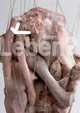 Leben, Life, Katrin Trantow, Thomas Macho, Gloria Meynen, Peter Pakesch 