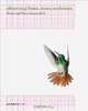 Observing Beast, Time, Evolution, Elke Falat, Frederico Geller 