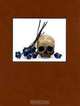 Flowers, Skulls, Contacts, David Bailey 