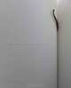 Markus Schinwald: La Biennale di Venezia 2011 (Esposizione Internazionale D