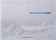 Gregor Sailer: Ladiz, Gregor Sailer, Anton Holzer 