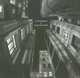 St Petersburg In Black And White: In Celebration of the Tercentenary of St. Petersburg, Maria Sheinina 