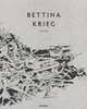 Bettina Kreig - Abysse (English and German Edition), Bettina Krieg, Thomas Andrae, Moritz Kaufmann, Christia Ganzenberg 