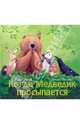 Когда Медведик просыпается, Уилсон Карма, Чапмен Джейн 