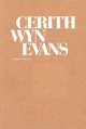 Cerith Wyn Evans, Cerith Evans 