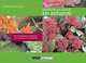 Disfruta de tus plantas sin esfuerzo: Fichas de plantas resistentes con consejos y curiosidades (Spanish Edition), Rosalia Casas 