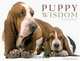 Puppy Wisdom: Wacky Words of Wisdom, Carla Bardi 