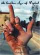 Ed Templeton: The Golden Age of Neglect, 