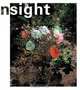 In Sight: Contemporary Dutch Photography from the Collection of the Stedelijk Museum, Amsterdam, Hripsime Visser 
