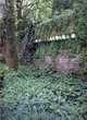 Louis G. Le Roy: Natuur, Cultuur, Fusie/Nature, Culture, Fusion, Louis Le Roy 