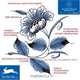 Traditional Dutch Tile Designs, 