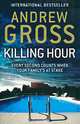 Killing Hour, Andrew Gross 