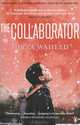 The collaborator, Mirza Waheed 