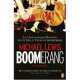Boomerang: Biggest Bust (No.1 Intern. bestseller), Lewis, Michael 