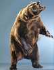 Bear Portraits, Jill Greenberg 