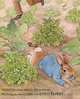 The Tale of a Naughty Little Rabbit, Beatrix Potter 