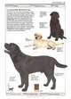 Dogs, David Alderton 