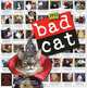 Календарь 2012 (на скрепке). Bad Cat, 