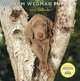 Календарь 2012 (на скрепке). Puppies, William Wegman 