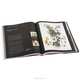 Botany for the Artist, Sarah Simblet 