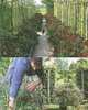 The Complete Gardener, Monty Don 