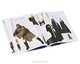 Star Wars: The Complete Visual Dictionary, David West Reynolds and James Luceno, Ryder Windham 