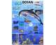 Ocean: An Incredible Tour of the World
