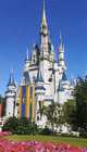 Walt Disney World Resort & Orlando, 