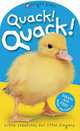 Quack! Quack! board book, 