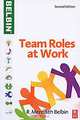 Team Roles at Work, R. Meredith Belbin 
