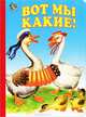 Неваляшка. Вот мы какие!, Антропов Игорь 
